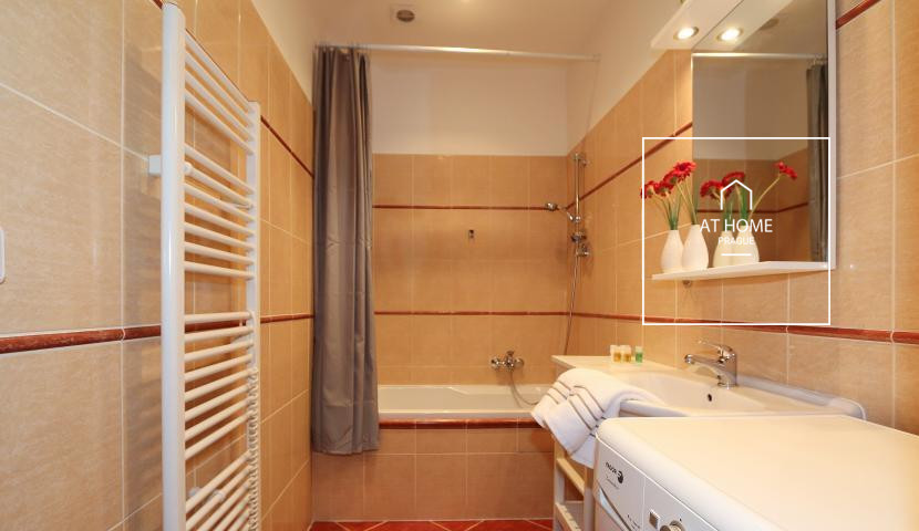 Fully furnished 2 bedroom apartment in Vinohrady