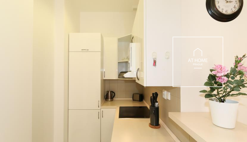 Belgická, Vinohrady