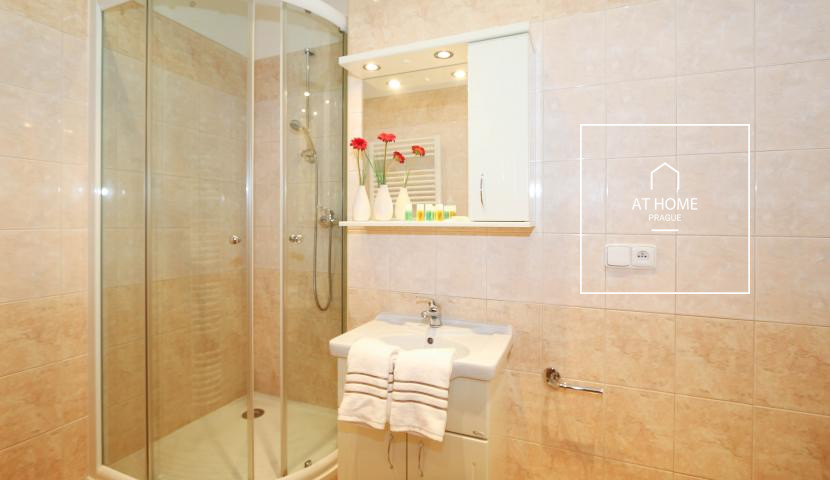 Nice 1bedroom apartment, Na Kozačce, Vinohrady