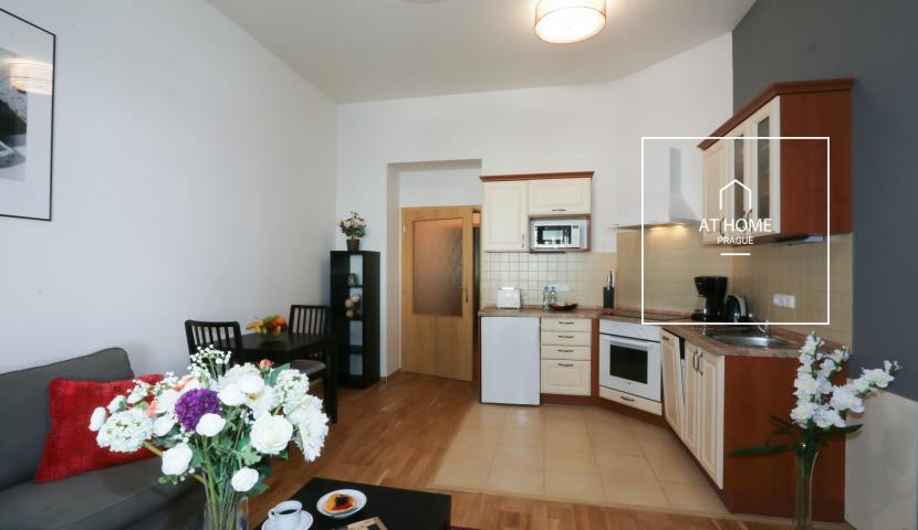 Příjemný zařízený byt 2+kk, Na Kozačce, Vinohrady