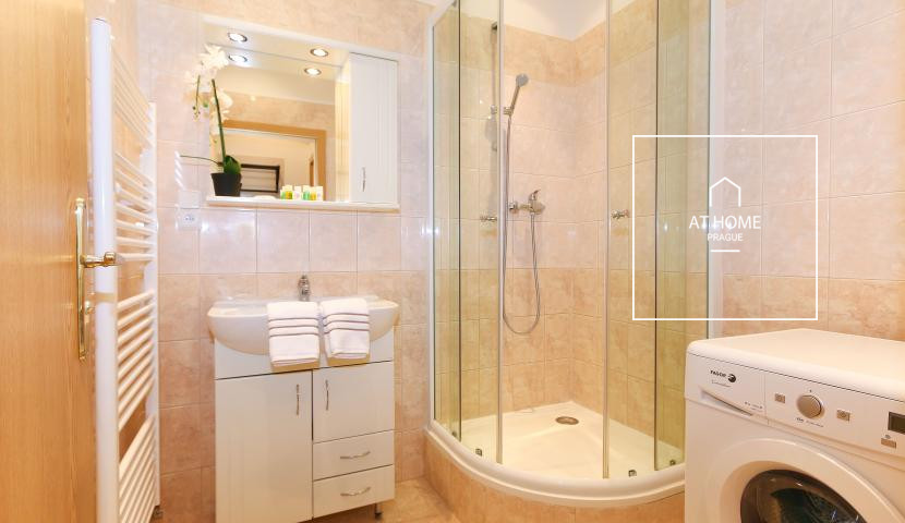 Nice 1bedroom apartment, Na Kozačce, Vinohrady