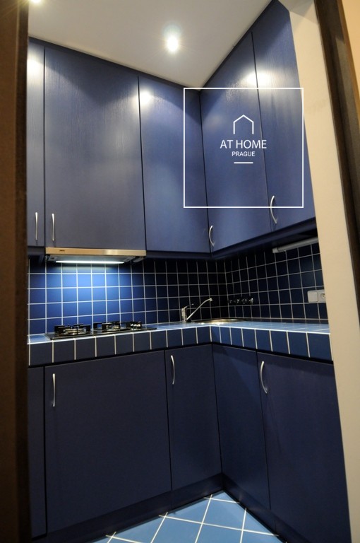 Charming apartment, Anny Letenské