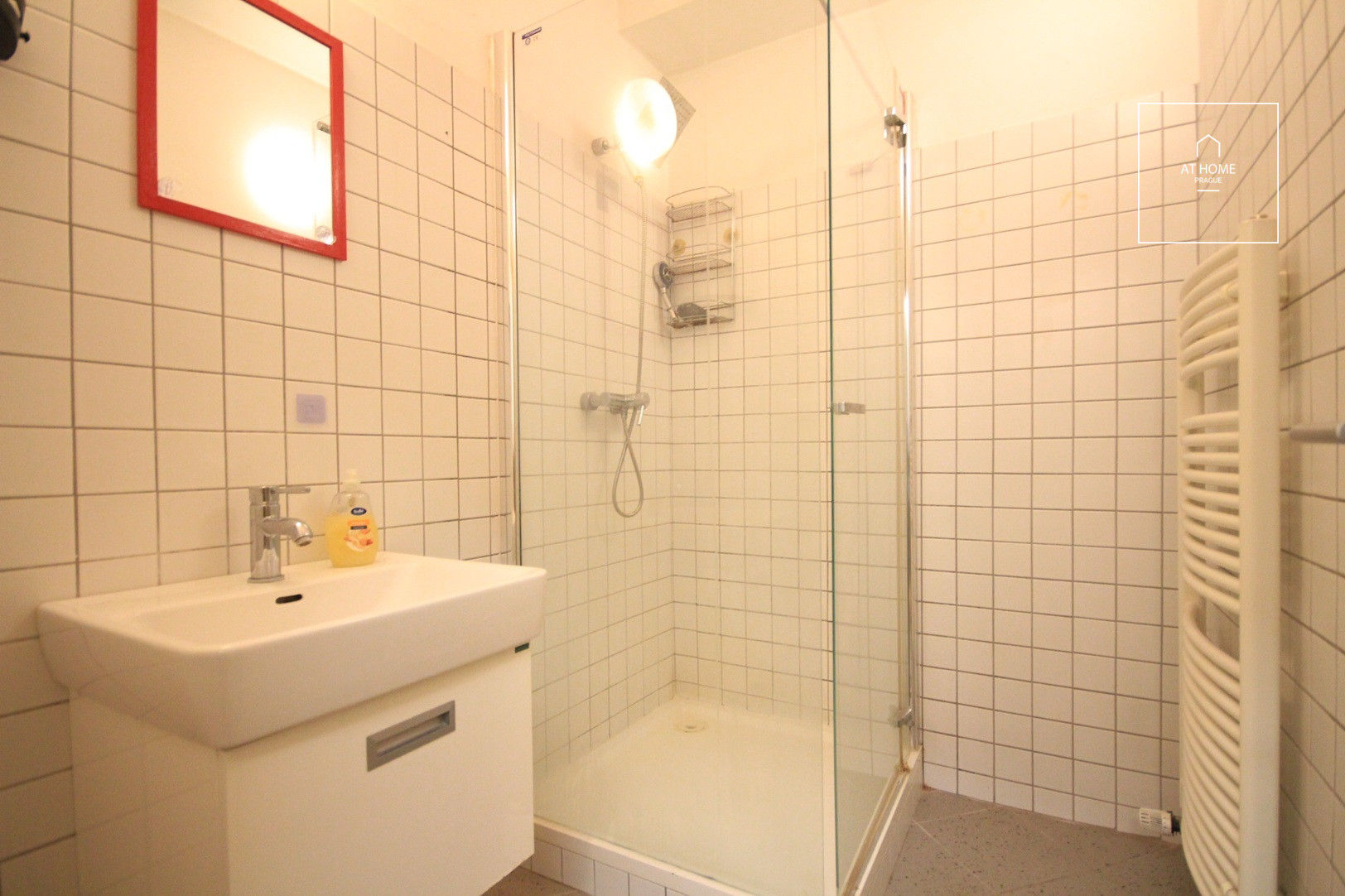 Unfurnished studio, Žižkov