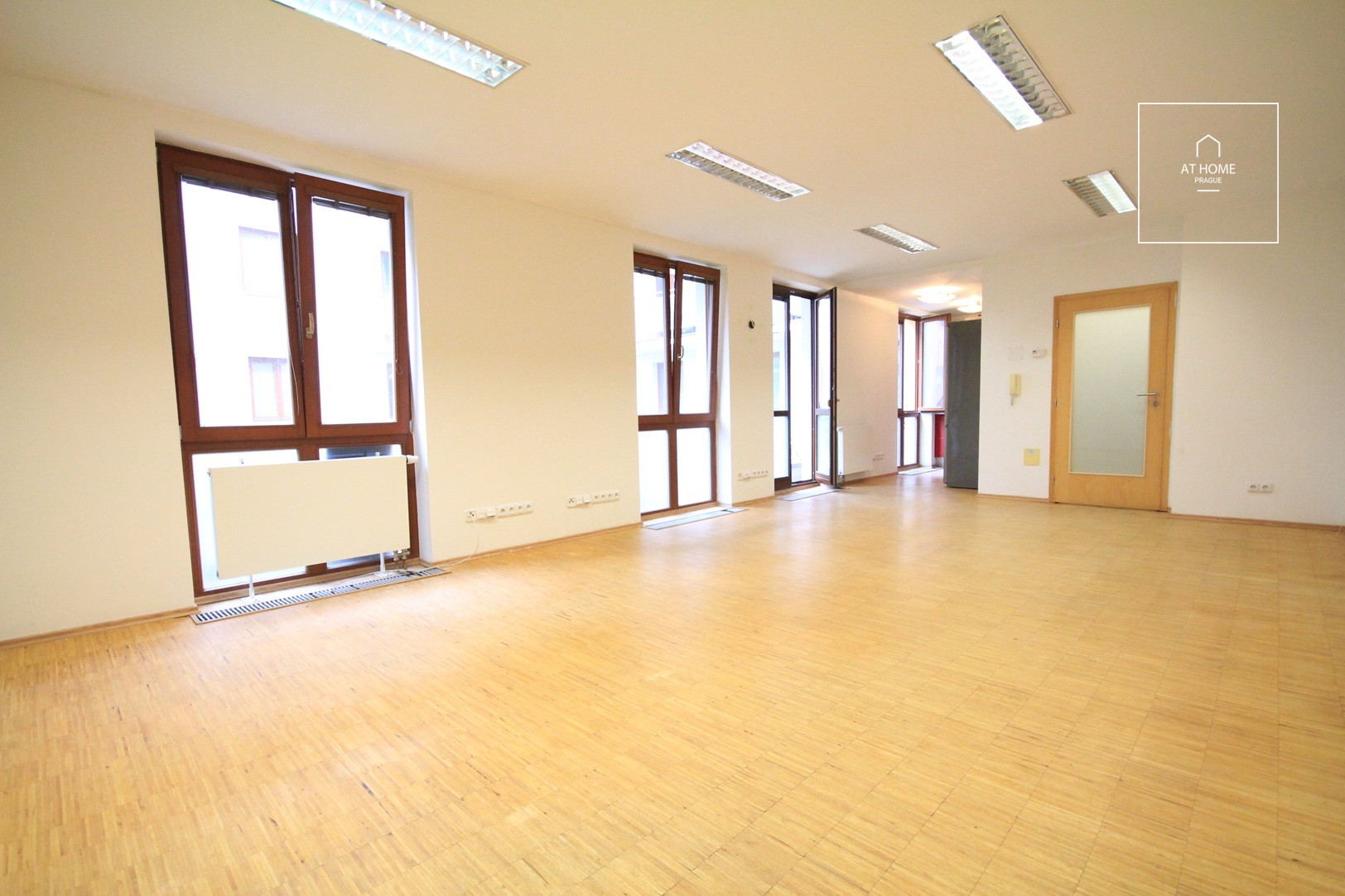 Unfurnished studio, Žižkov