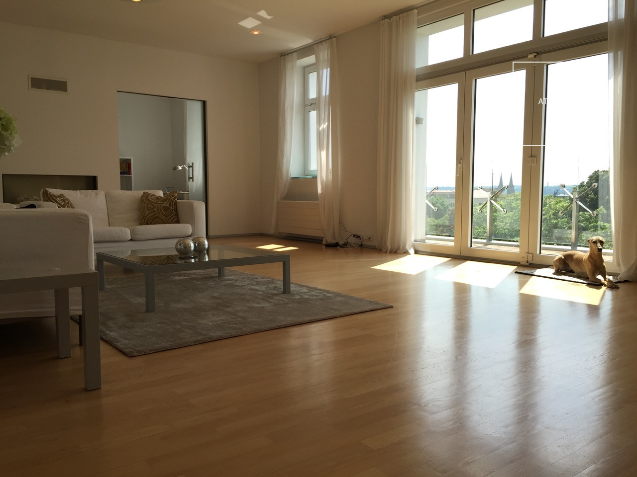 Unfurnished (furnishing possible), 5-bedroom apartment with terrace, Chopinova, Vinohrady