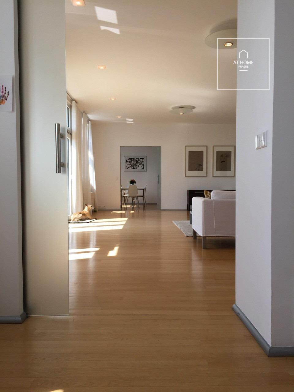 Unfurnished (furnishing possible), 5-bedroom apartment with terrace, Chopinova, Vinohrady