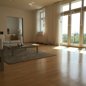 Unfurnished (furnishing possible), 5-bedroom apartment with terrace, Chopinova, Vinohrady