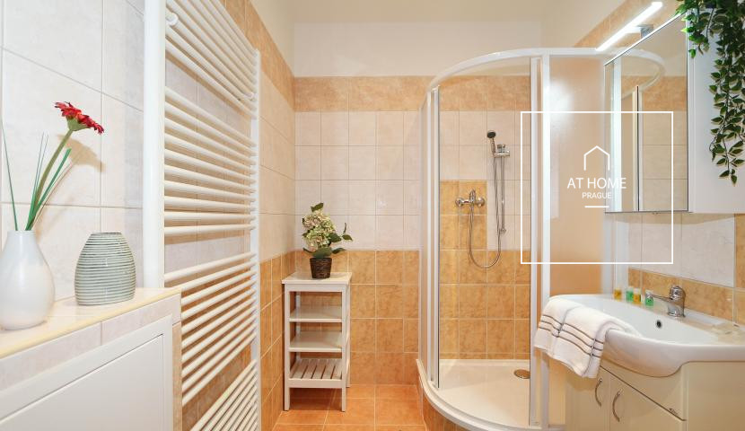 Nice furnished apartment, Moravská, Vinohrady