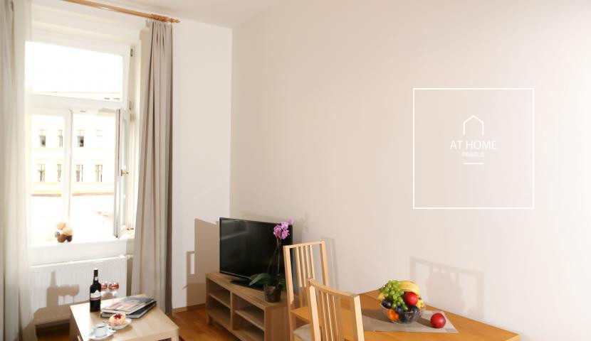 1 bedroom apartment, Moravská, Vinohrady