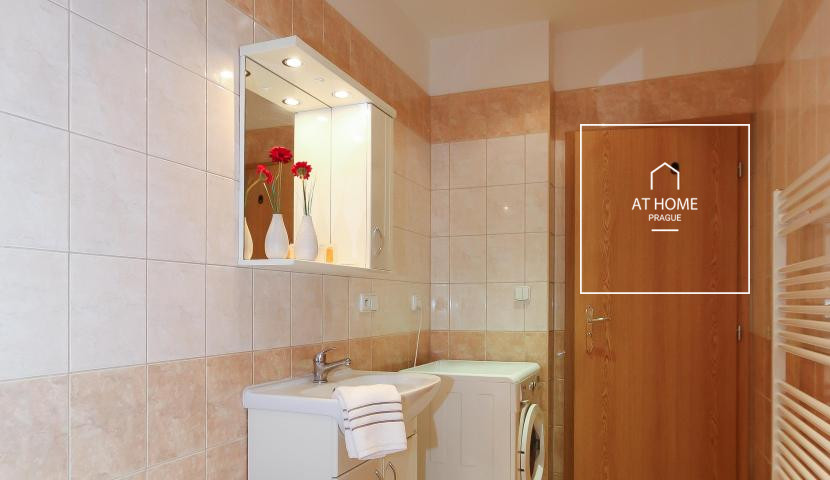 1 bedroom apartment, Moravská, Vinohrady