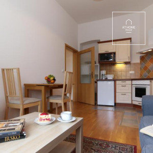 1 bedroom apartment, Moravská, Vinohrady