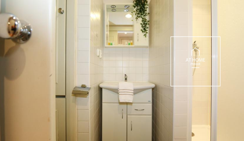 Nice duplex apartment, one bedroom, Vinohrady