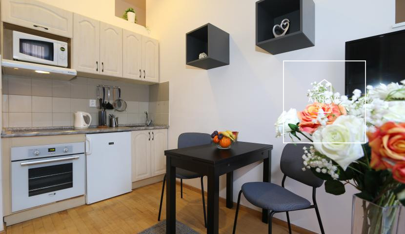 Nice duplex apartment, one bedroom, Vinohrady