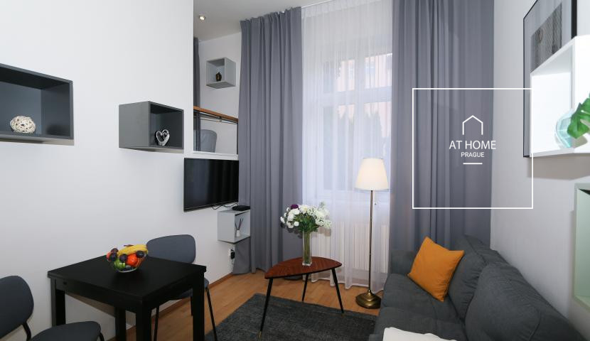 Nice duplex apartment, one bedroom, Vinohrady