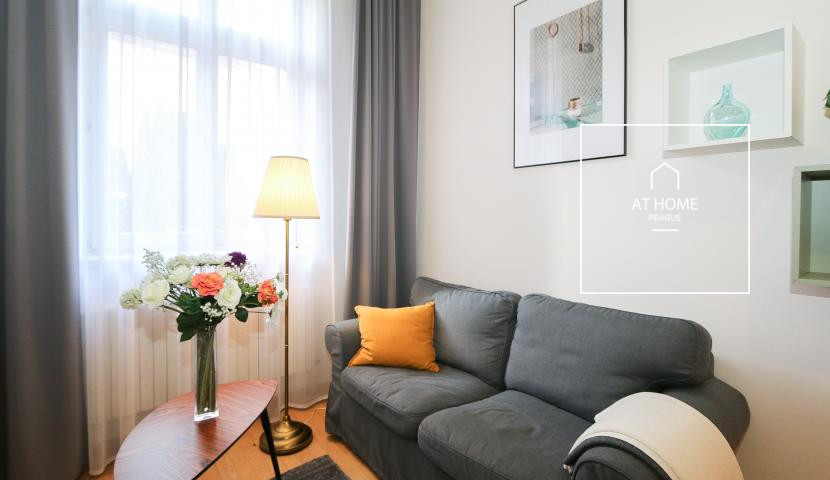 Nice duplex apartment, one bedroom, Vinohrady