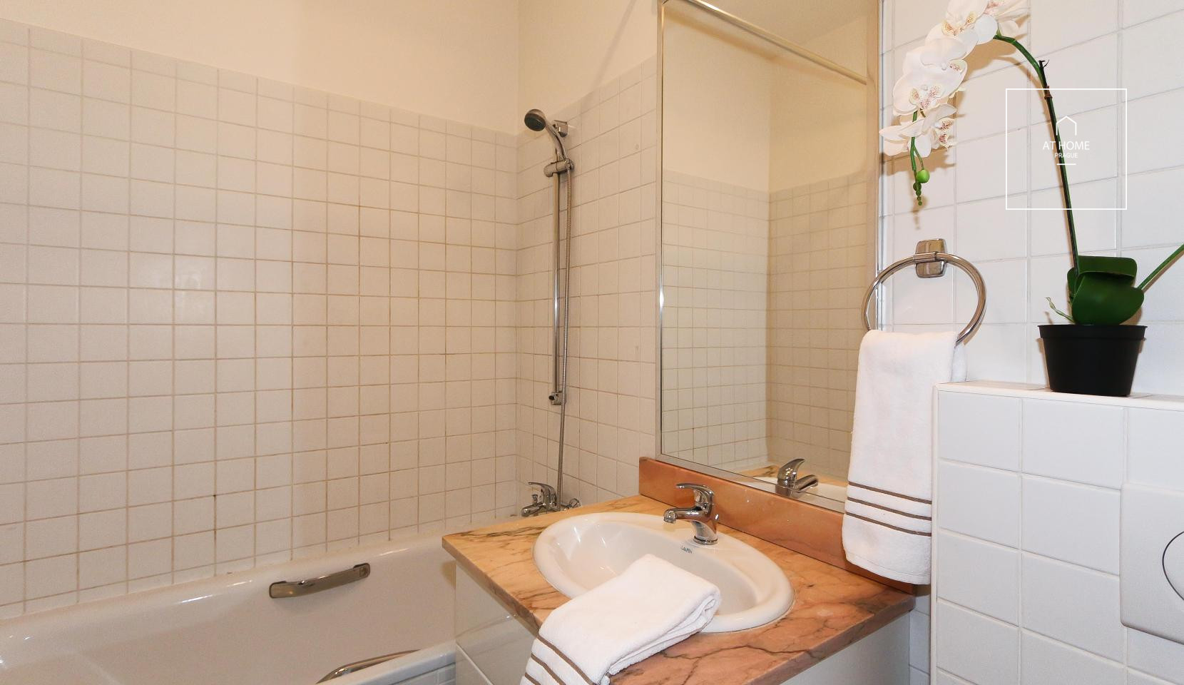 Plně zařízený byt 3+kk/balkon, Belgická, Vinohrady