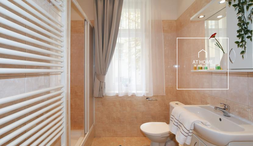 Nice 1bedroom apartment, Na Kozačce, Vinohrady