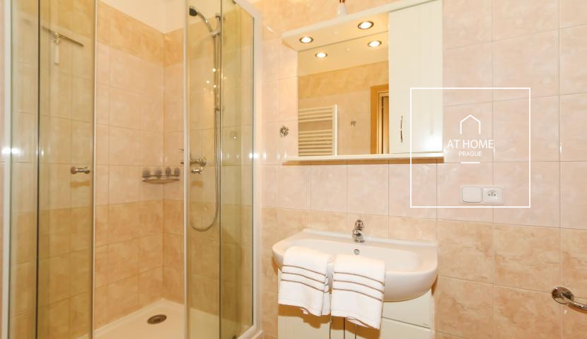 Fully furnished one bedroom loft, Na Kozačce, Vinohrady.
