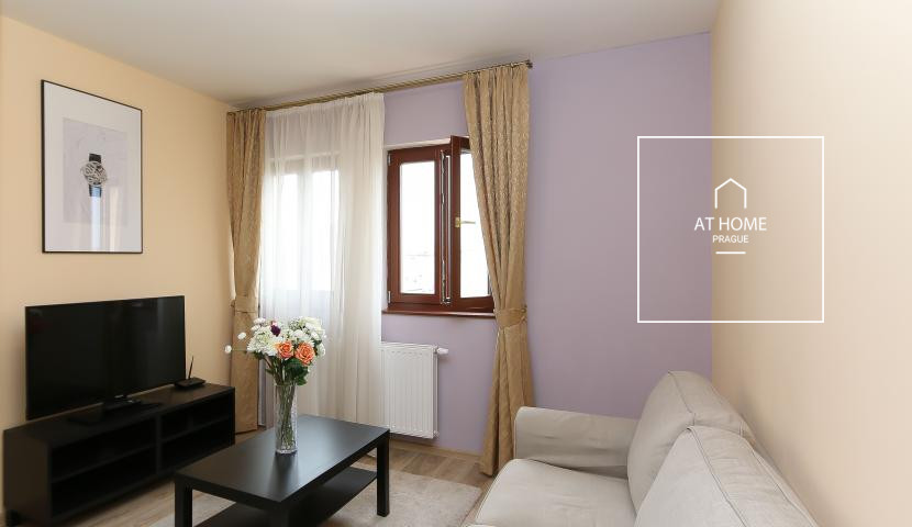 Plně zařízený příjemný byt 3+kk, Máchova, Vinohrady
