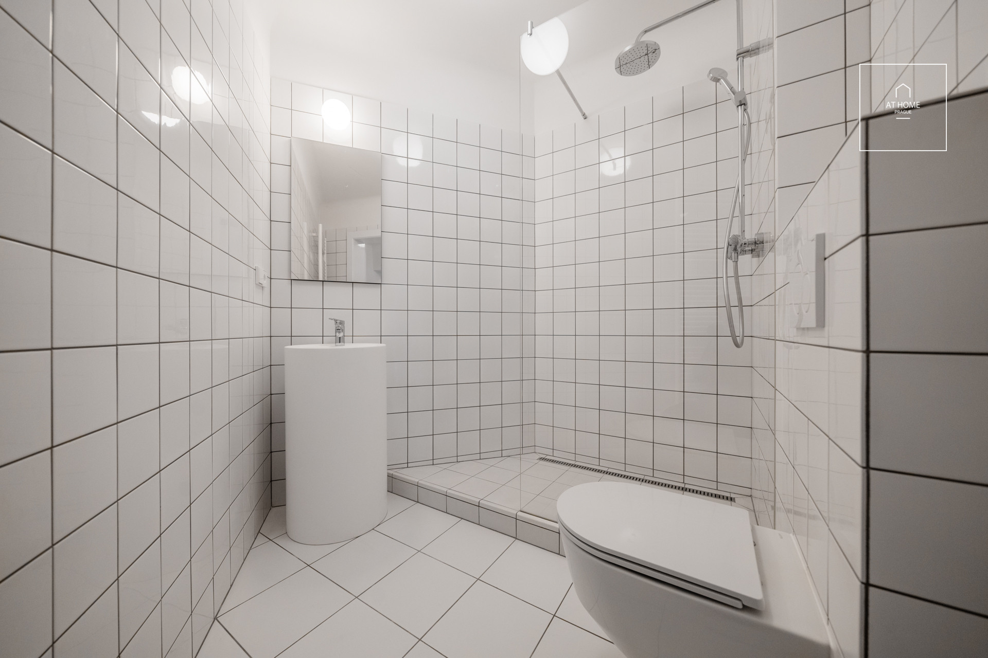 Office, 6 rooms, Italská, Vinohrady