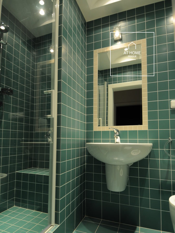 Wonderful apartment for rent Prague Prague 2, Odborů, Vinohrady