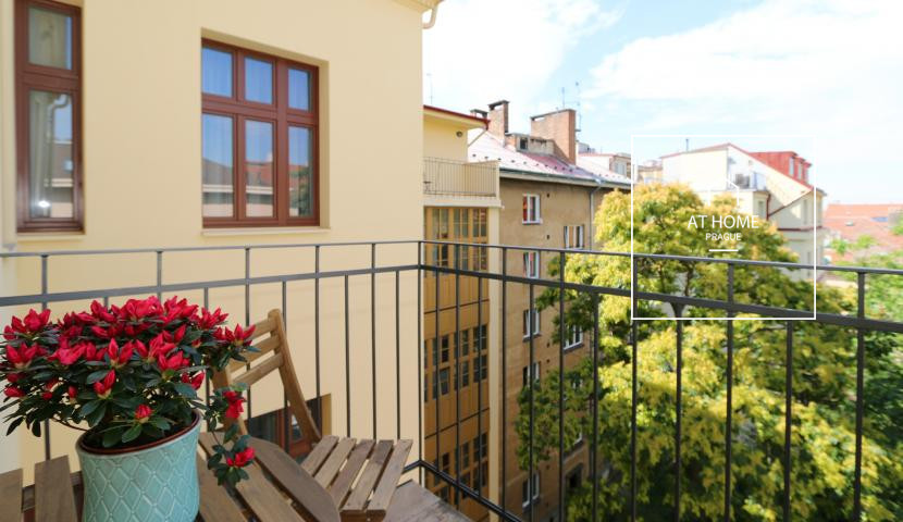Plně zařízený příjemný byt 3+kk, Máchova, Vinohrady