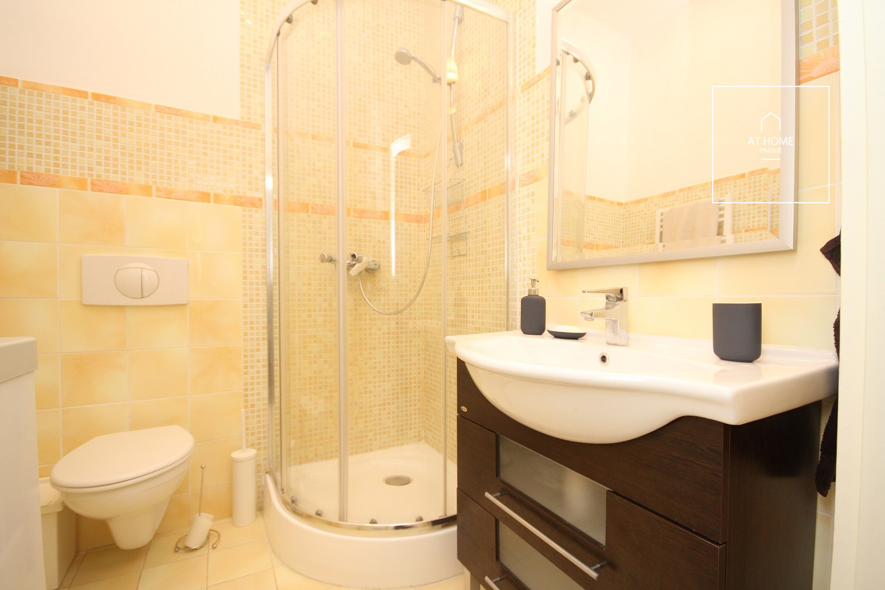 Bright 2-bedroom apartment, Vinohrady - Mánesova Street