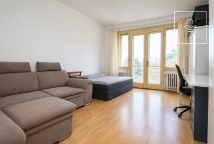 One bedroom apartment, Přemyslovská, Žižkov/Vinohrady