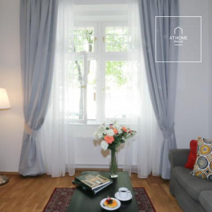 Nice 1bedroom apartment, Na Kozačce, Vinohrady