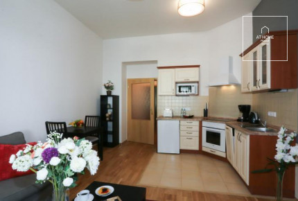 Nice 1bedroom apartment, Na Kozačce, Vinohrady